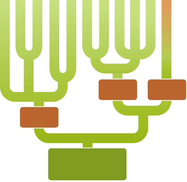     Figure 26.2 ; note that B, D, and E are domains. Answer the question using the accompanying figure. Which branch of this phylogenetic tree identifies the common ancestor of all modern organisms? ​ A) ​A B) ​B C) ​C D) ​D E) ​E