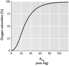        Figure 46.2  Answer the question using the accompanying figure. Llamas, which are customarily known as mountain dwellers, have hemoglobin with higher O<sub>2</sub> binding affinity than that of humans. How would the llama hemoglobin-O<sub>2</sub> dissociation curve differ from that of a human? ​