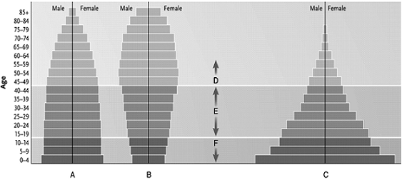 ​   Answer the question using the accompanying figure. The letter  A  represents ____. ​ A) rapid growth B) negative growth C) prereproductive populations D) postreproductive populations E) zero growth