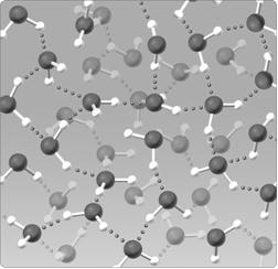  Figure 2.5 The water lattice illustrated in the figure above forms as a result of ____ between water molecules. A)  covalent bonds B)  hydrogen bonds C)  nonpolar interactions D)  ionic bonds E)  van der Walls forces