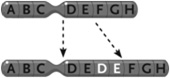 <strong>  Figure 13.5 The change in the chromosome depicted between the top and the bottom in the accompanying figure represents a(n) ____.</strong> A) inversion B) duplication C) reciprocal translocation D) deletion E) Philadelphia chromosome <div style=padding-top: 35px> 