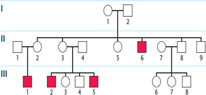   2014 Examine the pedigree in the accompanying figure. Individuals affected by the genetic condition in question are indicated by filled squares or circles. Which inheritance pattern is most likely correct for this condition in this family? A)  autosomal dominant B)  X-linked recessive C)  X-linked dominant D)  cytoplasmic inheritance E)  autosomal recessive