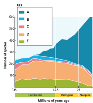 Answer the questions using the accompanying figure depicting the history of vascular plant diversity. Match each color and corresponding letter in the key to the group of vascular plants it represents.      Figure 23.15 