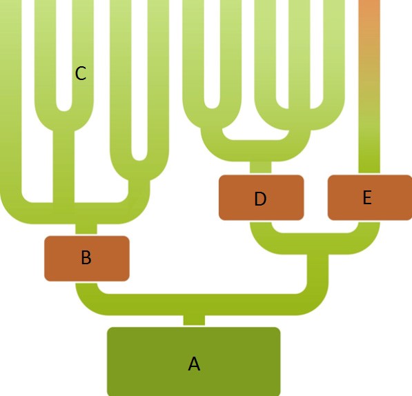   Figure 26.2 -Answer the question using the accompanying figure. Which branch of this phylogenetic tree identifies Archaea? A)  A B)  B C)  C D)  D E)  E