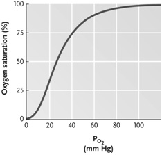    Figure 46.2 - Answer the question using the accompanying figure. Llamas, which are customarily known as mountain dwellers, have hemoglobin with higher O<sub>2</sub>binding affinity than that of humans. How would the llama hemoglobin-O<sub>2</sub>dissociation curve differ from that of a human?