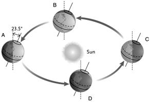    -Answer the question using the accompanying figure. Which image represents the position of the Earth during the December solstice? A)  A only B)  B only C)  C only D)  D only E)  A and C