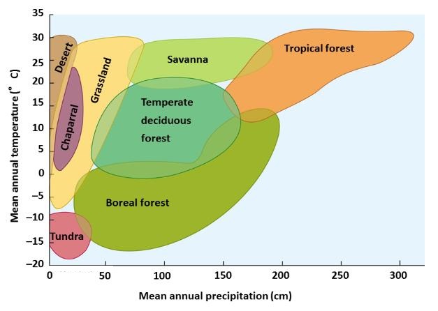   - Answer the question using the accompanying figure. According to the graph, the upper mean annual temperature for boreal forests is approximately ____<sup>o</sup>C. A)  -7 B)  2 C)  15 D)  25 E)  35