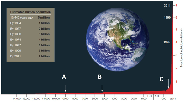 Refer to the following figure for questions 53, 54, and 55.       Letter  B  designates the ____, which allowed for an increase in human population growth. A) Bubonic plague B) domestication of plants and animals C) industrial and scientific revolutions D) discovery of America E) emergence of agriculturally based urban societies
