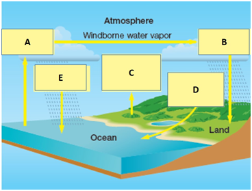 Examine the figure below of the water cycle. Match each term with the concept to which it best corresponds.     