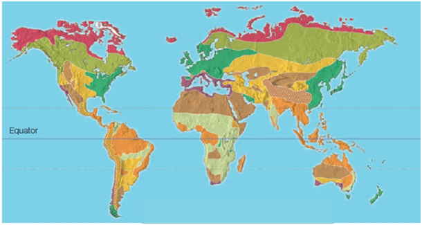 The dark pink color at the top of this picture represents the ____ biome.   A) temperate deciduous forest B) chaparral C) tundra D) temperate grassland E) boreal forest