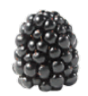 blackberry    