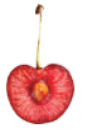 cherry    