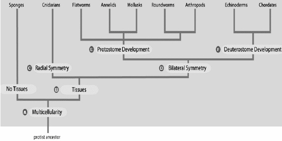 Examine the figure below and match the options with the number which best corresponds.    