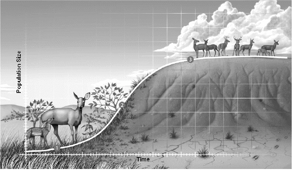   Examine the figure above and answer the following question(s) . This figure describes a typical example of A)  biotic potential growth. B)  exponential growth. C)  logistic growth. D)  logarithmic growth. E)  density-dependent growth.