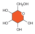   How many carbons are present in this figure? A)  zero B)  four C)  five D)  six E)  seven