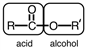 The following correctly labels the potential source of the two hydrocarbon groups in an ester.    