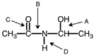 Identify the amide bond in the following figure.      A) A B) B C) C D) D