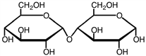 The structure given below has what type of glycosidic linkage?   A) α (1 → 6)  B) β (1 → 4)  C) β (1 → 6)  D) α (1 → 4) 