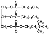 The structure below would be correctly be classified as a(n) ______.   A) sphingolipid B) phosphoglyceride C) cephalin D) Sphingolipid