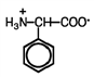 What is the name of the following amino acid?     A) alanine B) tyrosine C) phenylalanine D) proline