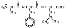 The following peptide could be named as _____ .   A) valinylphenylalanyl B) alanylphenylvaline C) glycylphenylleucine D) glycylphenylalanine