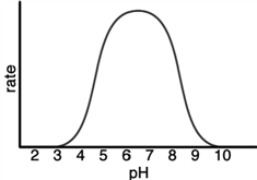 The following represents the results of an experiment on a metabolic enzyme. What is the optimum pH of this enzyme?   A) 3.0 B) 5.5 C) 6.5 D) 9.5