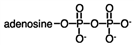 The abbreviation for the compound shown?   A) ATP B) ADP C) AMP D) P<sub>i</sub>P<sub>i</sub>
