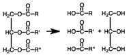 The following reaction would occur during catabolism.    