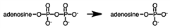The following reaction is exergonic.    