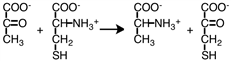 Which process is represented by the following reaction?   A) transamination B) deamination C) decarboxylation D) aminogenesis