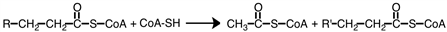 What process is summarized by the reaction shown below?   A) fatty acid synthesis B) ketone body production C) β -oxidation pathway D) fatty acid activation