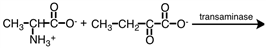 Consider the following reaction.   What would be the nitrogen containing product? A)    B)    C)    D)   
