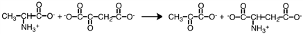 The type of enzyme that would catalyze the following reaction would be a(n)   ___ .   A) hydroxylase B) transaminase C) synthetase D) lipase