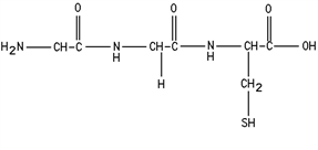 Classify this structure.   A) dipeptide B) fatty acid C) polypeptide D) protein E) triglyceride