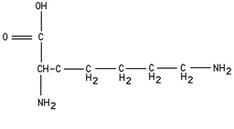 Classify this structure.   A) dipeptide B) amino acid C) polypeptide D) protein E) triglyceride