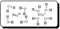 After carefully noting the orientation in which water molecules surround each solute particle, which choice below best represents the true nature of how Na<sub>2</sub>SO<sub>4</sub> exists in an aqueous solution? A)    B)    C)    D)    E)   