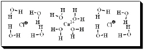 After carefully noting the orientation in which water surrounds each solute particle, which choice below best represents the true nature of how CaCl<sub>2</sub> exists in aqueous solution? A)    B)    C)    D)    E)   