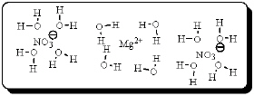 After carefully noting the orientation in which the dipoles of water molecules surround the solute particles, which choice below best represents the true nature of how Mg(NO<sub>3</sub>) <sub>2</sub> exists in an aqueous solution? A)    B)    C)    D)    E)   