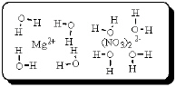 After carefully noting the orientation in which the dipoles of water molecules surround the solute particles, which choice below best represents the true nature of how Mg(NO<sub>3</sub>) <sub>2</sub> exists in an aqueous solution? A)    B)    C)    D)    E)   