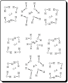 After carefully noting the orientation in which the dipoles of water molecules surround the solute particles, which choice below best represents the true nature of how Mg(NO<sub>3</sub>) <sub>2</sub> exists in an aqueous solution? A)    B)    C)    D)    E)   