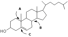 The following is a line-angle drawing of Cholesterol. How many hydrogen atoms are assumed at each of the labeled carbon atoms indicated below?   Cholesterol A)  A = 0 hydrogen atoms, B = 0 hydrogen atoms and C = 0 hydrogen atoms B)  A = 1 hydrogen atom, B = 1 hydrogen atom and C = 1 hydrogen atom C)  A = 0 hydrogen atoms, B = 1 hydrogen atom and C = 0 hydrogen atoms D)  A = 1 hydrogen atom, B = 0 hydrogen atoms and C = 1 hydrogen atom E)  A = 1 hydrogen atom, B = 2 hydrogen atoms and C = 0 hydrogen atoms