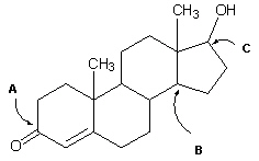 Exhibit 22-4 Cortisol is a hormone that regulates the glucose and gycogen concentration in the body. It is also a powerful anti-inflammatory agent. Use the figure below of Cortisol to answer the following question(s) .   Cortisol -Refer to Exhibit 22-4. In the figure above for Cortisol , what hybrid orbitals are used for each of the carbon atoms labeled A , B and C respectively? A)  A = sp<sup>3</sup>, B = sp<sup>3</sup>, C = sp<sup>3</sup> B)  A = sp<sup>2</sup>, B = sp<sup>2</sup>, C = sp<sup>2</sup> C)  A = sp, B = sp, C = sp D)  A = sp<sup>2</sup>, B = sp<sup>3</sup>, C = sp<sup>3</sup> E)  A = sp<sup>3</sup>, B = sp<sup>2</sup>, C = sp