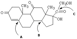 Exhibit 22-6 Consider the molecule Cortisone, shown below, to answer the following question(s) . Cortisone and adrenaline are the main hormones released by the body under stress. Cortisone can be administered as a topical ointment for anti-inflammatory purposes.   Cortisone -Refer to Exhibit 22-6. What three functional groups are present in this molecule of Cortisone? A)  Aromatic ring, carboxylic acid and alcohol B)  Ketone, alkene, and alcohol C)  Aldehyde, carboxylic acid and alcohol D)  Alkyne, ketone and ether E)  Ester, alcohol and alkene