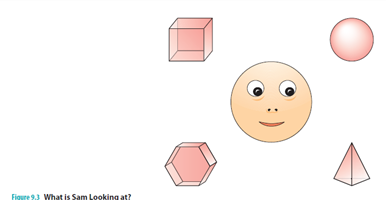 A picture and question, like the image shown below, helps assess whether children are capable of understanding which of the following?   A)  theory of mind B)  false beliefs C)  gaze following and joint attention D)  the spotlight effect