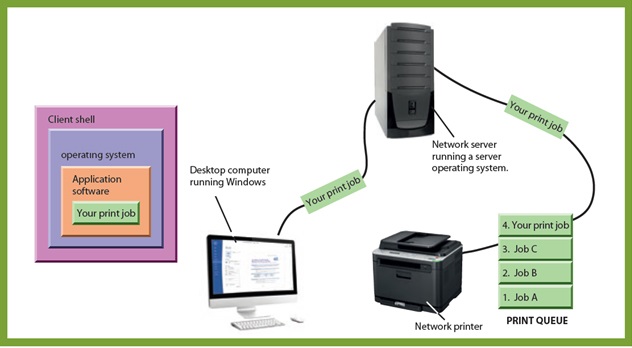 Consider the figure given below. When you request a network activity-such as printing a document using a network printer-the application program first passes the job to the _____.   A) desktop operating system B) network operating system C) server operating system D) embedded operating system