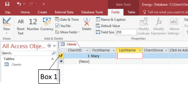 In the accompanying figure of a Microsoft Access 2016 document, the symbol that Box 1 is pointing to appears when you: ​ ​   A) select the primary key value. B) delete a record. C) start typing a value in a field. D) modify the foreign key value.