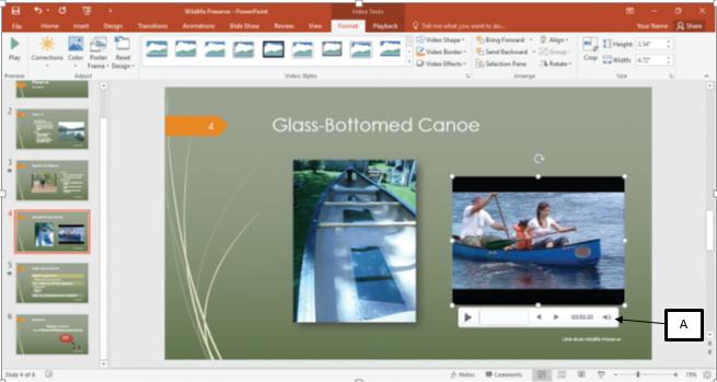 ​ In the accompanying image of Microsoft PowerPoint 2016, Box A points to the _____.   A) video trimmer B) animation bar C) preview frame D) play bar