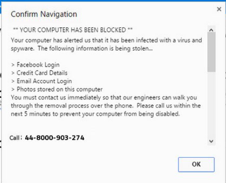 Danny received this email message today.     What happened to Danny's computer? A)  The data is being downloaded, and Danny should disconnect from the network. B)  Danny has received a fake security alert pop-up. C)  This is a real alert, and Danny should call the number provided. D)  Danny's web browser has been hijacked by a virus.