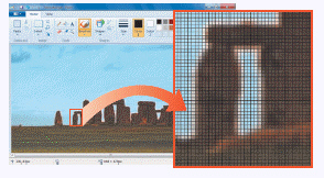   The accompanying figure is an example of a ____ graphic A)  vector B)  bitmap C)  3D D)  wireframe