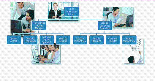   The department shown in the accompanying figure determines an organization's information needs, as well as creates, maintains, and updates its information systems.